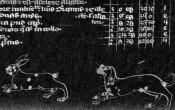 Alfonsine stellar tables